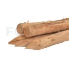 Robinia paal geschild gepunt 8-10cm