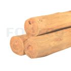 Robinia palen spintvrij geschuurd 20-24cm