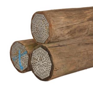 cloeziana 28-30 (2).jpg