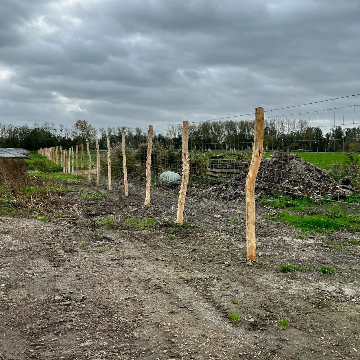 Geschild Robinia hekwerk