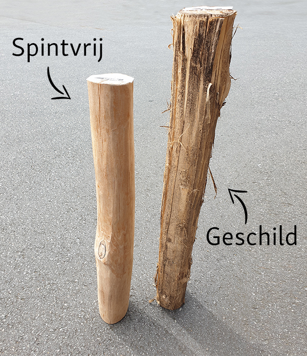 Het verschil tussen spintvrij en geschild Robinia